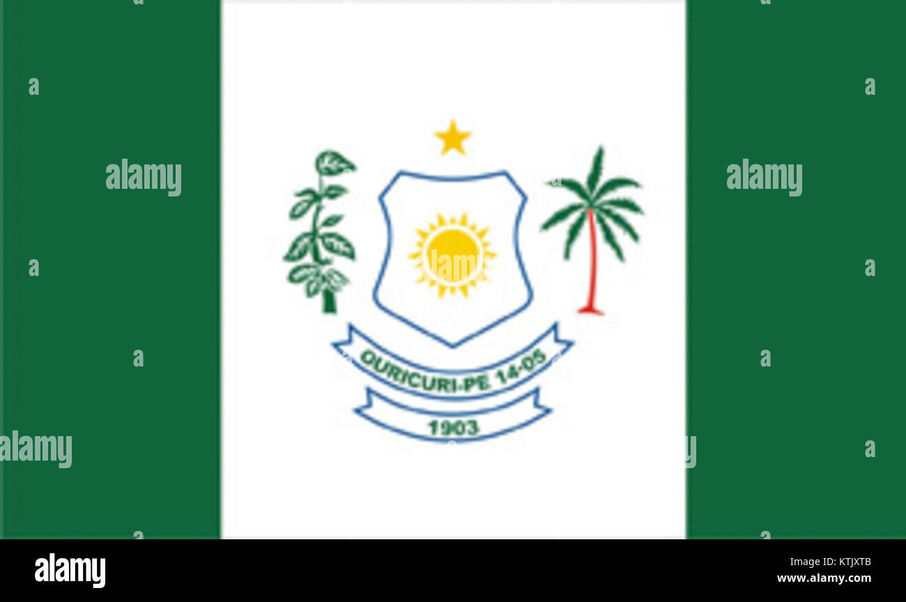 Bandeira Ouricuri è un festival culturale tradizionale celebrato in Brasile, in particolare nella città di Ouricuri, nello stato di Pernambuco. Il festival onora le usanze locali, tra cui musica, danza e tradizioni popolari, con particolare attenzione alla cultura regionale brasiliana. Si tratta di un evento importante per la comunità, che promuove lo scambio culturale e preserva il patrimonio locale. Foto Stock