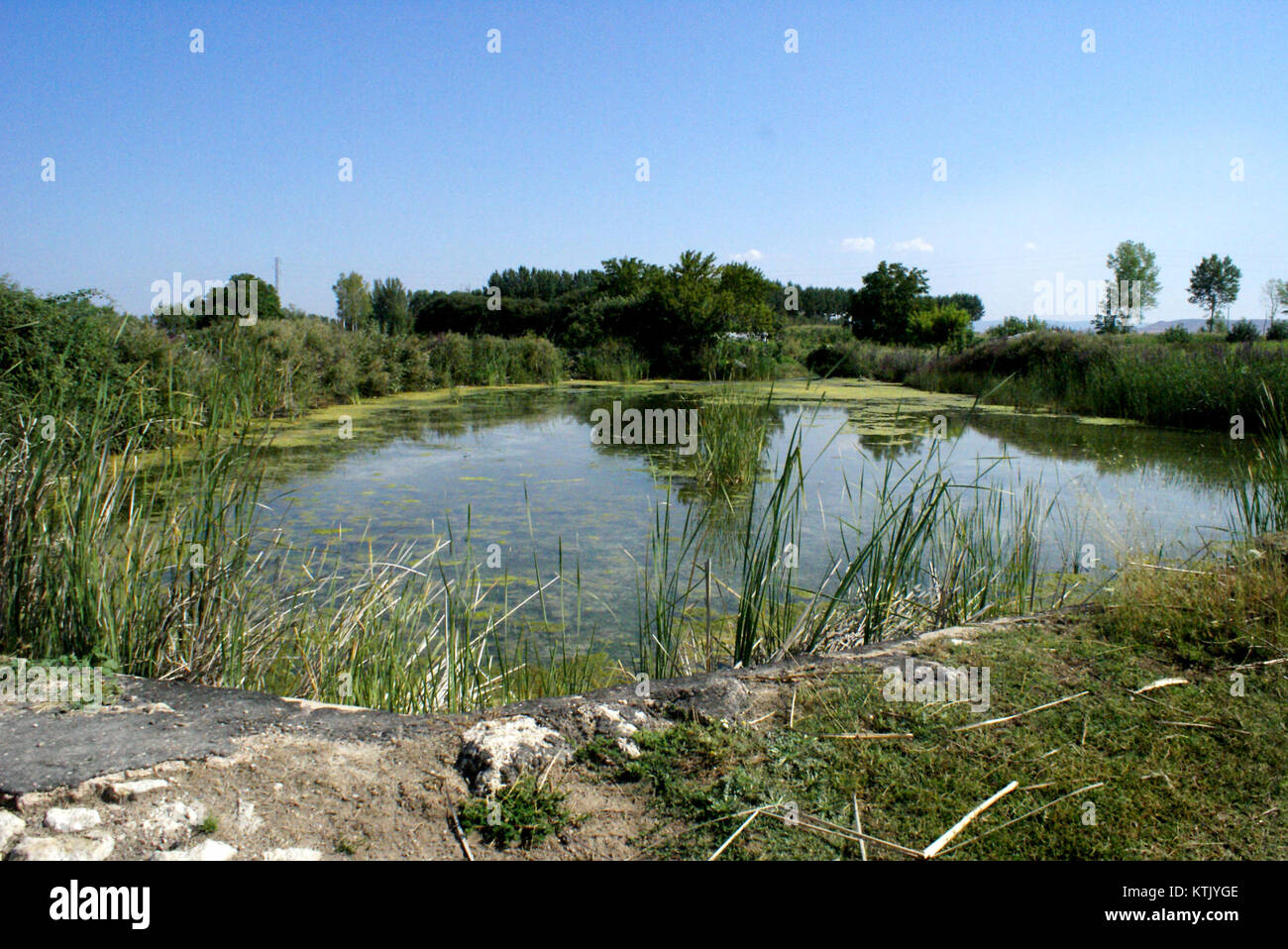 Balsaentrada si riferisce a un termine specifico che può rappresentare un punto di ingresso o di accesso, eventualmente associato a un metodo di trasporto o a un punto di accesso. Può riferirsi a un molo, un porto o un ingresso in relazione al viaggio in barca o alla logistica. Foto Stock