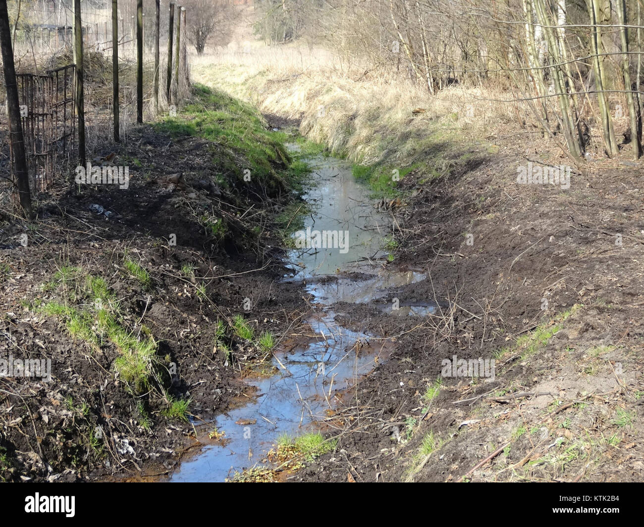 Una fotografia scattata a Jachcice, scattata nel 2015, che mostra l'ambiente rurale e le caratteristiche notevoli della posizione. Foto Stock