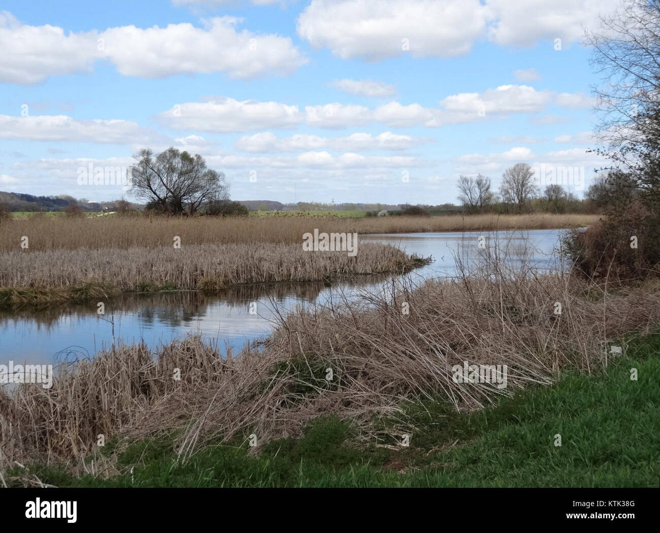 Nell'aprile 2015, furono completati significativi miglioramenti lungo la riva del fiume Vistola, nel quartiere storico di Stary Fordon, Bydgoszcz, Polonia. Il progetto prevedeva la ricostruzione di via Promenada e dell'argine del fiume, con l'obiettivo di migliorare l'accesso pedonale e promuovere il trasporto via acqua. La rivitalizzazione ha ricevuto un riconoscimento, vincendo il premio principale nel concorso 27° "modernizzazione dell'anno/costruzione del XXI secolo". Foto Stock