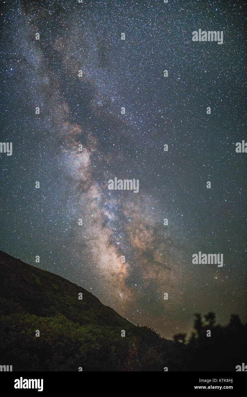 Una fotografia notturna che cattura una spiaggia sotto un cielo stellato negli Stati Uniti, sottolineando il contrasto tra l'oceano scuro e le stelle illuminate sopra. Foto Stock