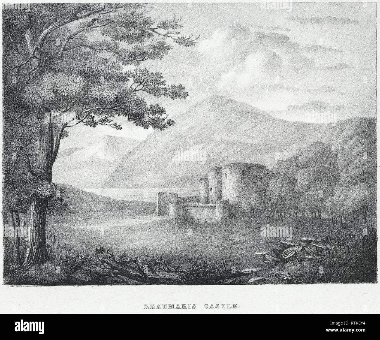 Il castello di Beaumaris, situato in Galles, è un sito patrimonio dell'umanità dell'UNESCO e uno dei migliori esempi di architettura militare medievale. Costruito durante il regno di Edoardo i, è rinomato per il suo design e il suo significato storico. Foto Stock