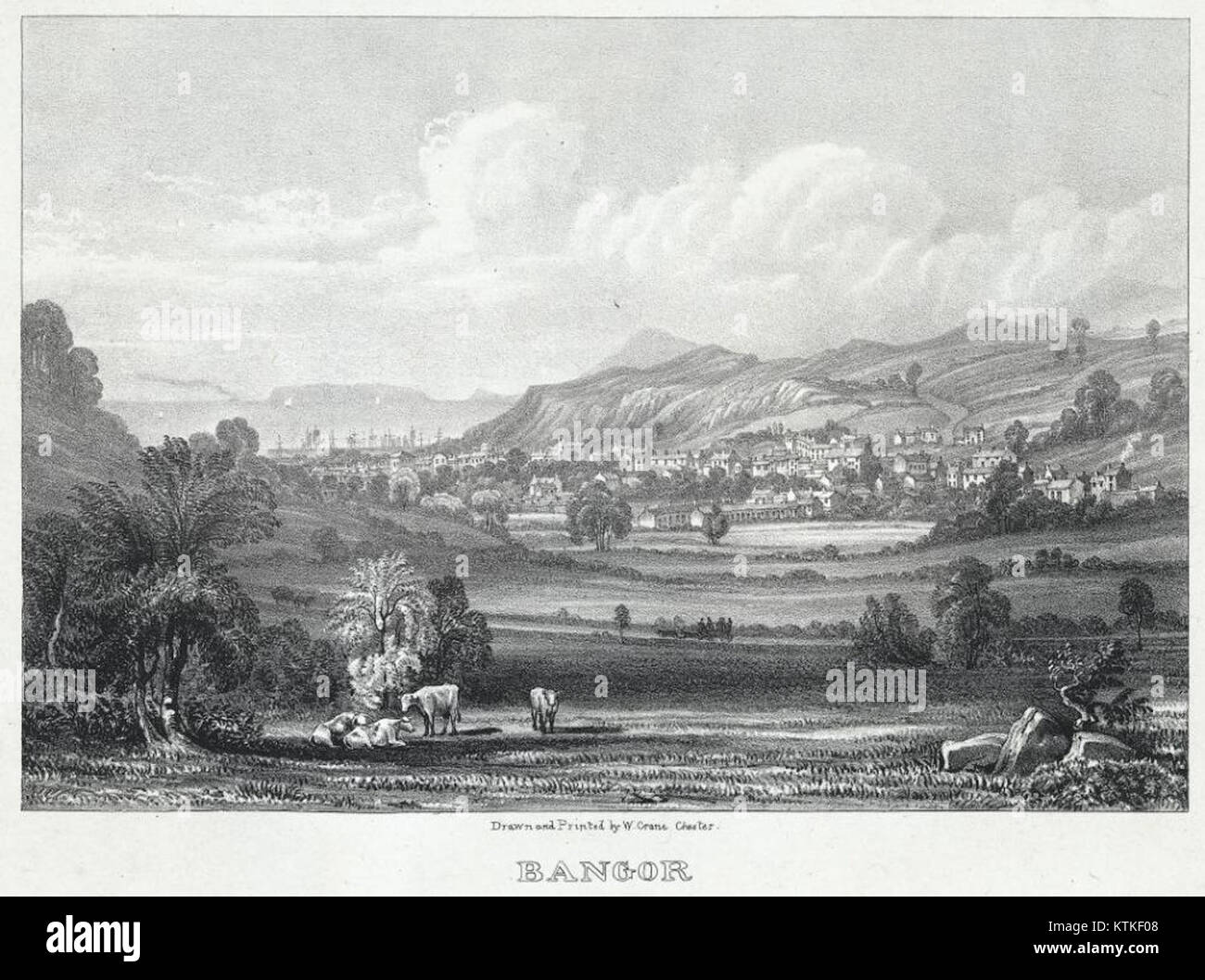 Bangor è una città conosciuta per la sua ricca storia e il suo patrimonio culturale. L'area è riconosciuta per i suoi punti di riferimento, la storia locale e il ruolo nello sviluppo del regionÂ. Foto Stock