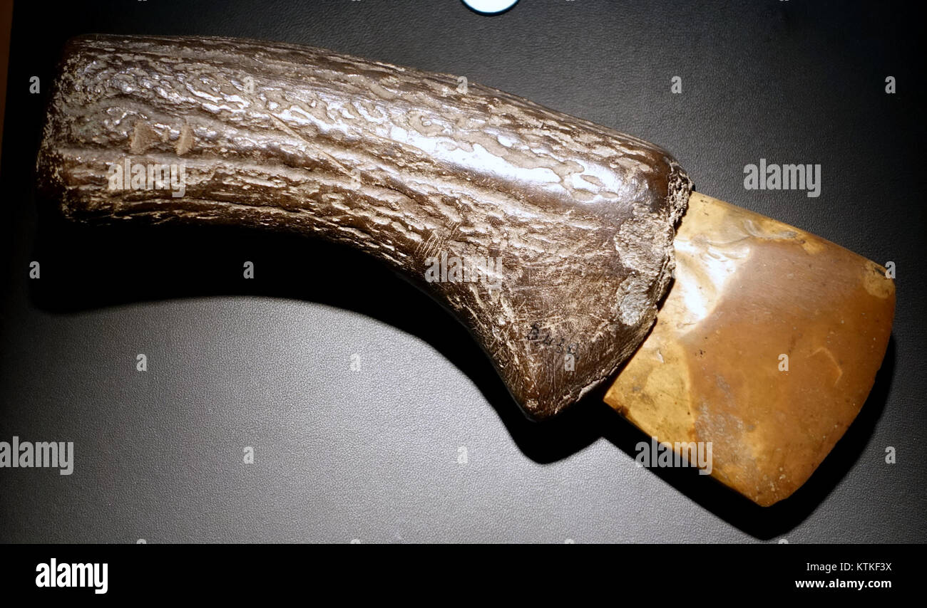 Questo manufatto del periodo neolitico, rinvenuto a Betekom, Belgio, è uno strumento in pietra lucida con manico di cervo, originario della civiltà Senna Oise Marne intorno al 3400-2200 a.C., ora esposto al Museo del Cinquantenario. Foto Stock