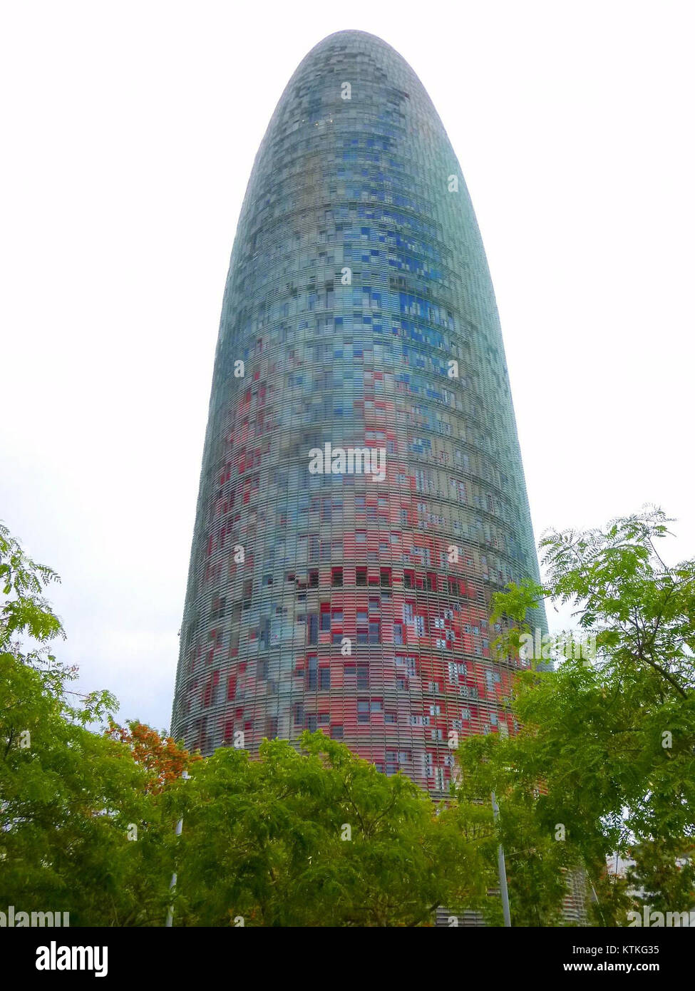 La Torre Agbar di Barcellona, progettata dall'architetto Jean Nouvel, è un grattacielo moderno noto per il suo design unico e l'illuminazione colorata, che funge da punto di riferimento nello skyline della città. Foto Stock