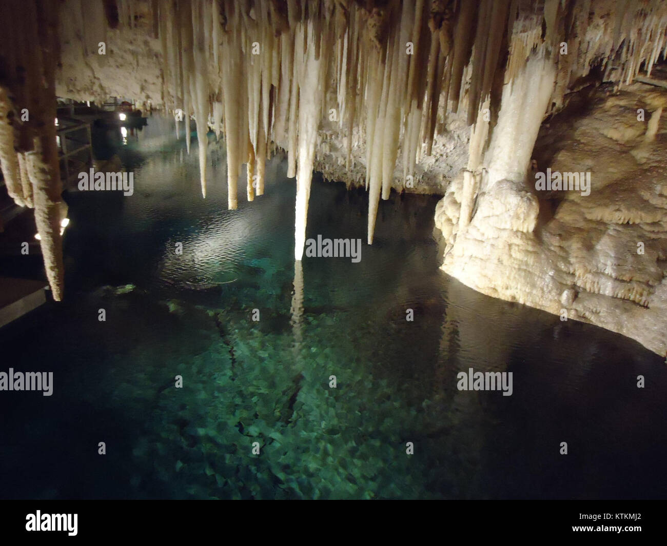 Questa immagine, identificata come numero 217, raffigura una grotta nelle Bermuda, un territorio britannico d'oltremare. Le grotte delle Bermuda sono note per le loro formazioni geologiche uniche e il loro ruolo nella storia naturale dell'isola. Foto Stock