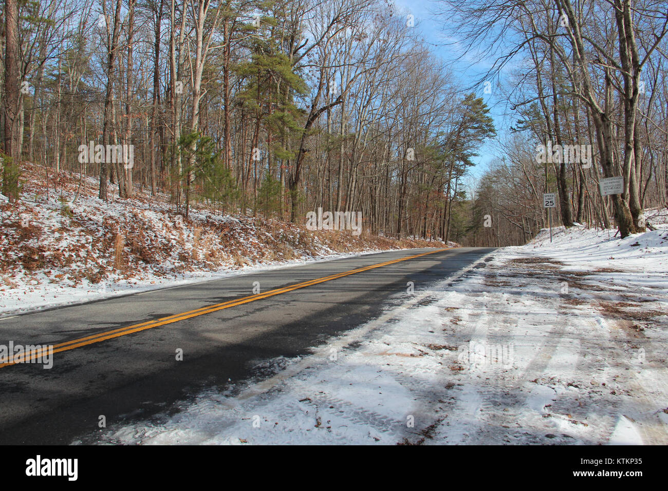 Questa immagine del gennaio 2017 cattura l'ambiente rurale di Bettis Tribble Gap Road nella contea di Forsyth, Georgia, sottolineando il suo paesaggio naturale e le aree residenziali. Foto Stock