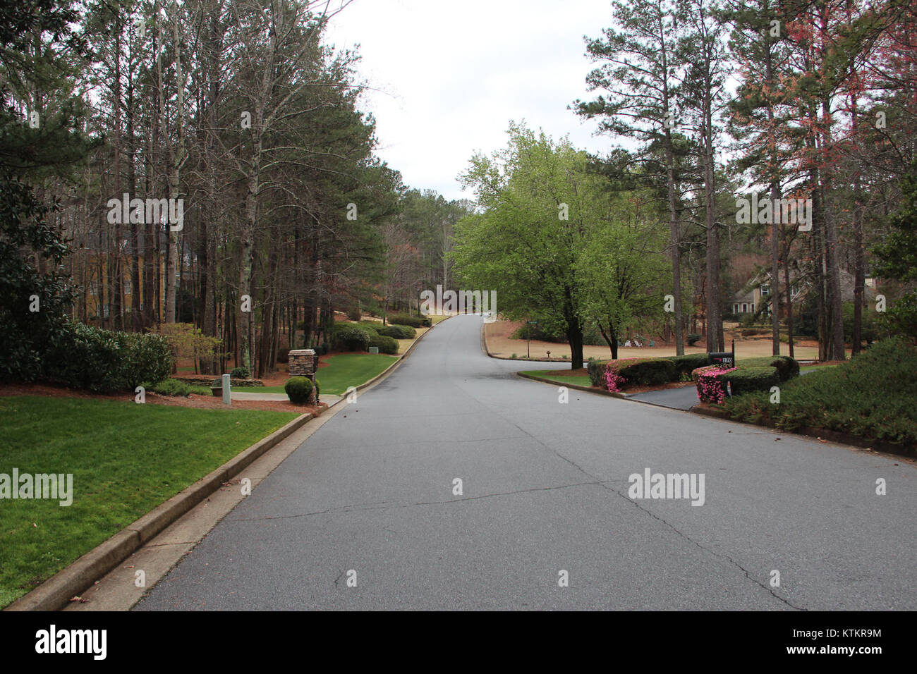 Questa immagine cattura Bay Colt Road a Milton, Georgia, nel marzo 2017. La fotografia evidenzia il paesaggio, l'ambiente locale e l'architettura di questa area suburbana della Georgia. Foto Stock