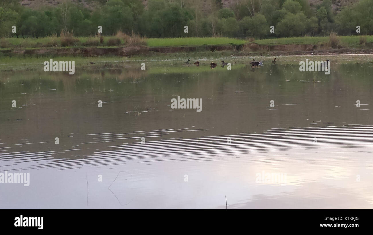 Una fotografia intitolata "BAGAN KURRAM AGENCY BY UMAR MUNIR 17", che cattura un paesaggio di Bagan Kurram, Pakistan, con caratteristiche culturali e naturali distinte della regione. Foto Stock