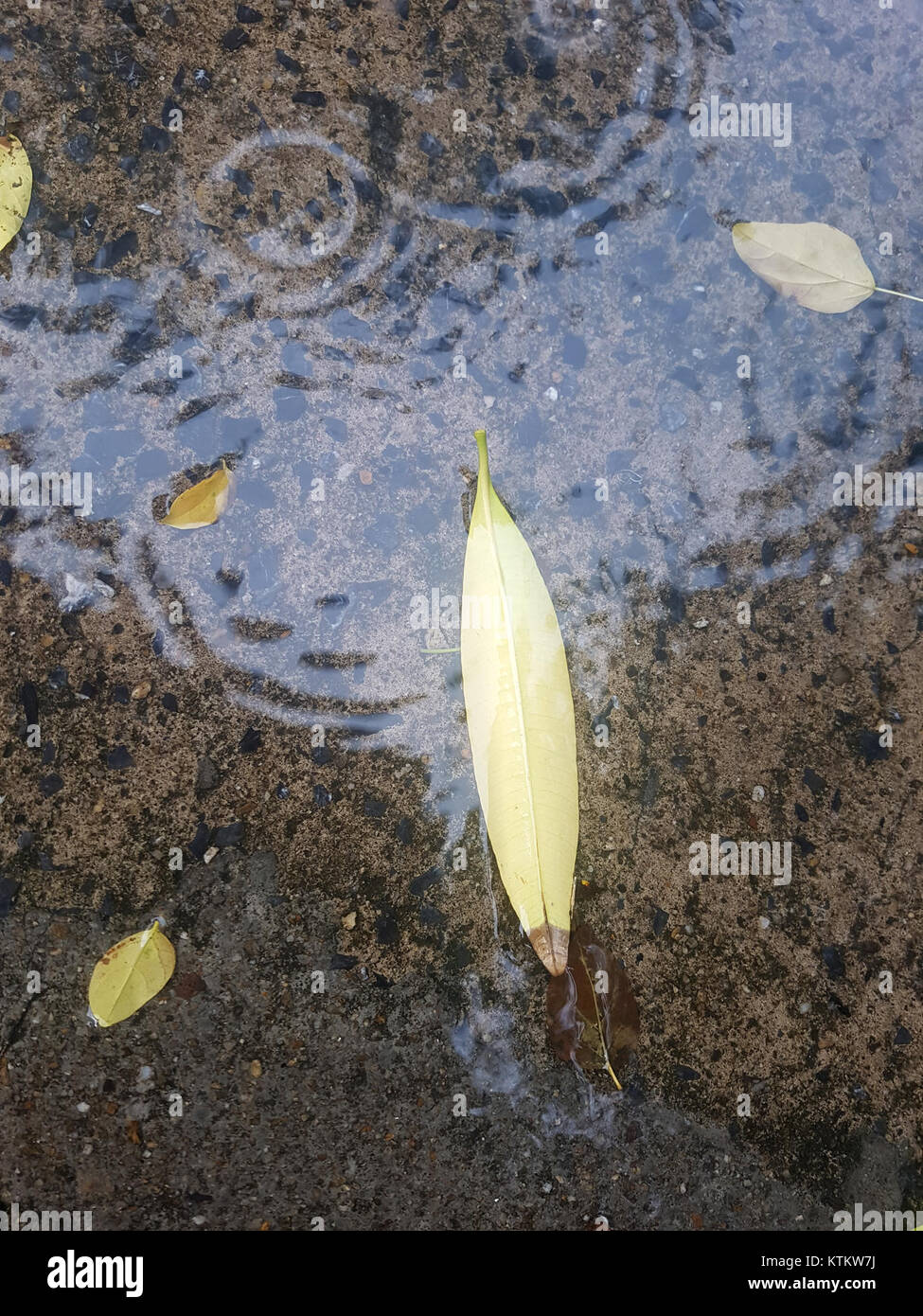 Una fotografia che cattura la pioggia estiva a Bangkok il 13 maggio 2017. L'immagine ritrae i modelli meteorologici dinamici e l'ambiente urbano tipico della capitale thailandese durante la stagione delle piogge. Foto Stock