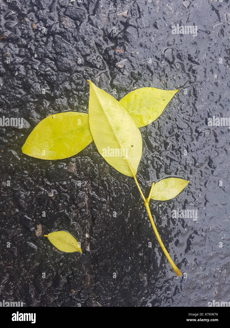 Un'istantanea di una pioggia estiva a Bangkok il 13 maggio 2017. La foto cattura l'atmosfera della città durante una pioggia tropicale, tipica della stagione delle piogge in Thailandia. Foto Stock