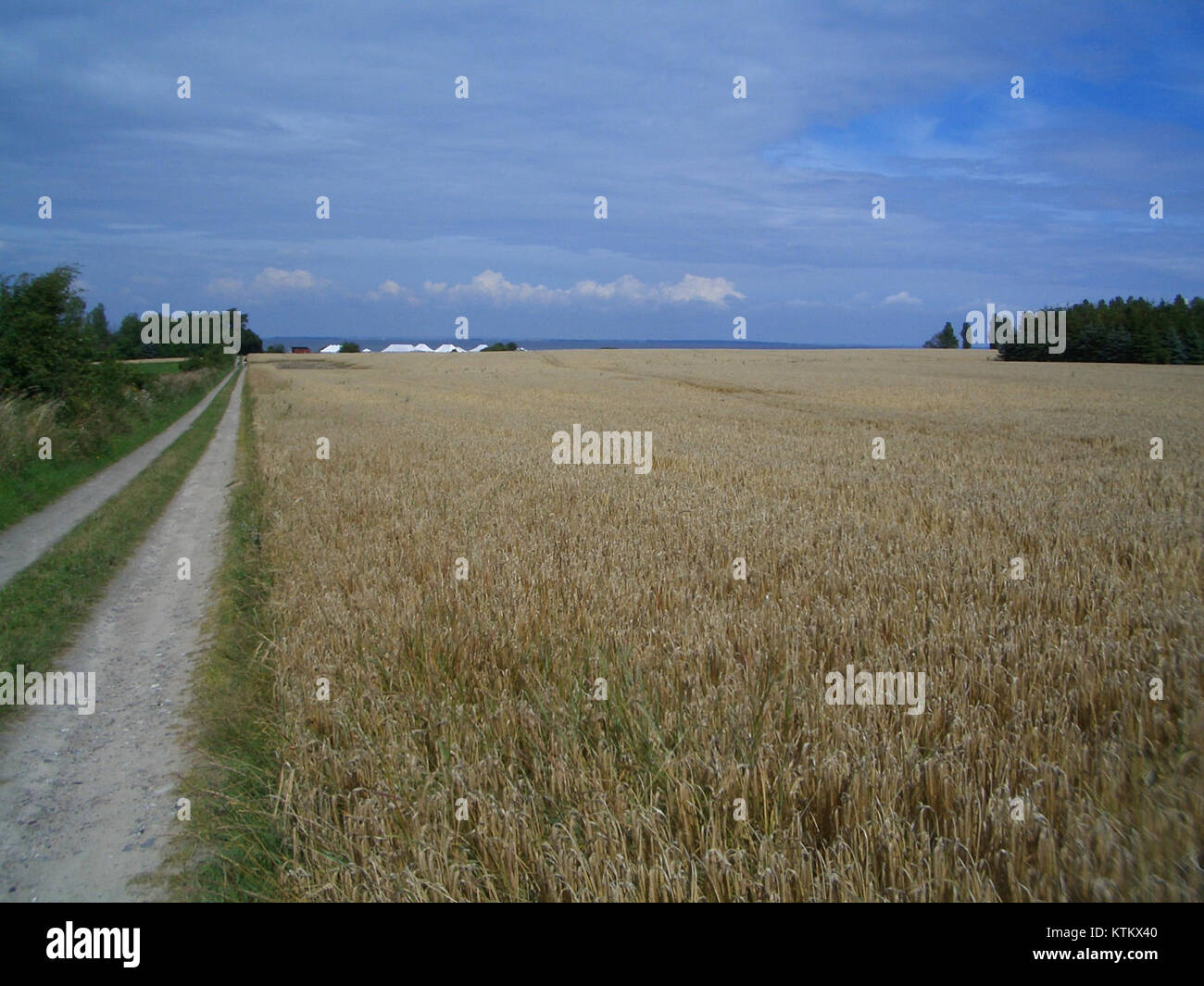 Questa immagine cattura una scena con tende bianche disposte alla fine di una strada, possibilmente per un evento o un festival. Le tende sono probabilmente parte di una riunione all'aperto o di una festa della comunità. Foto Stock