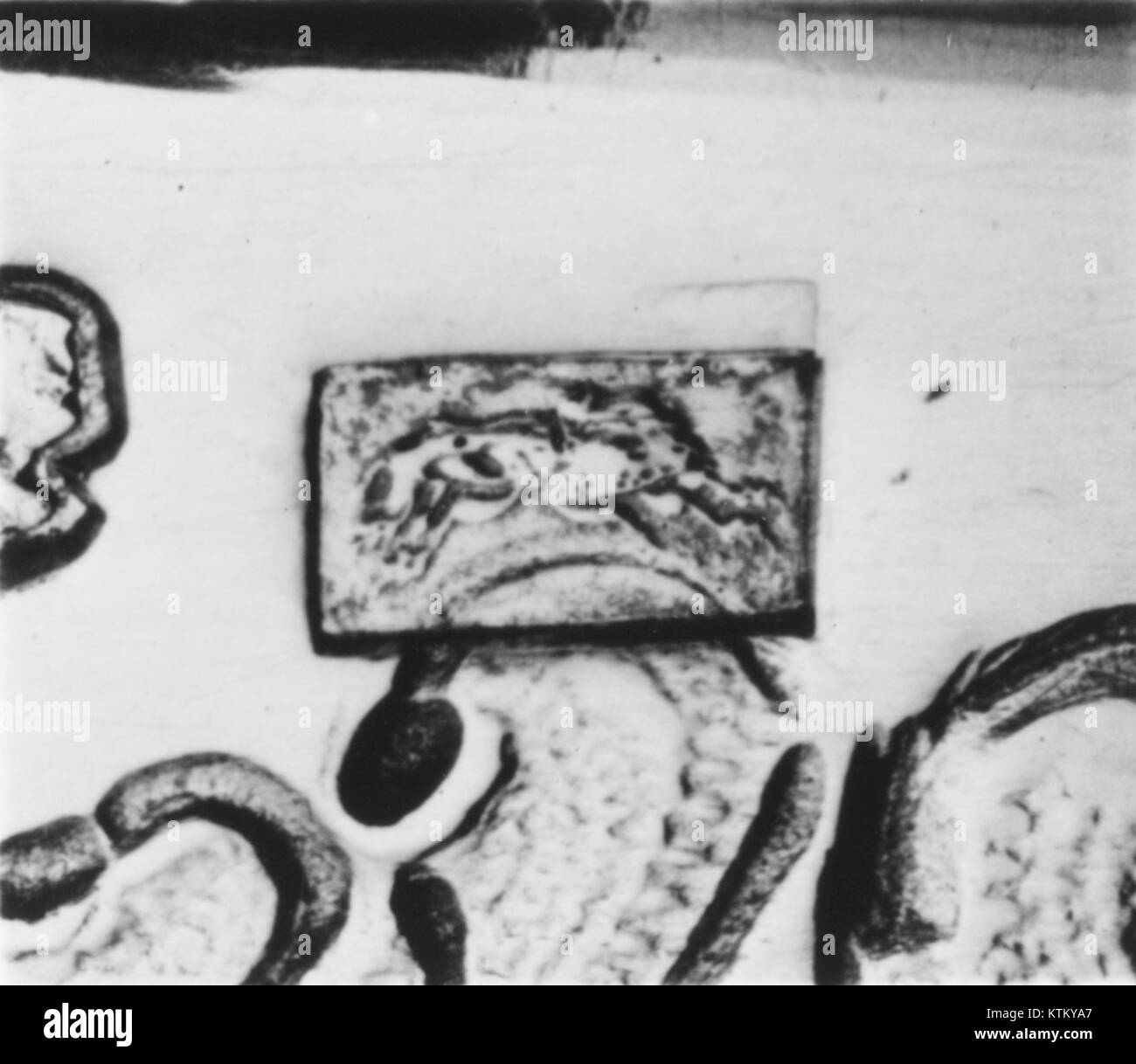 Il becher (Timbale), MET 118391, è un antico vaso in ceramica presente nella collezione del Metropolitan Museum of Art Riflette l'artigianato e il significato culturale delle prime ceramiche. Foto Stock