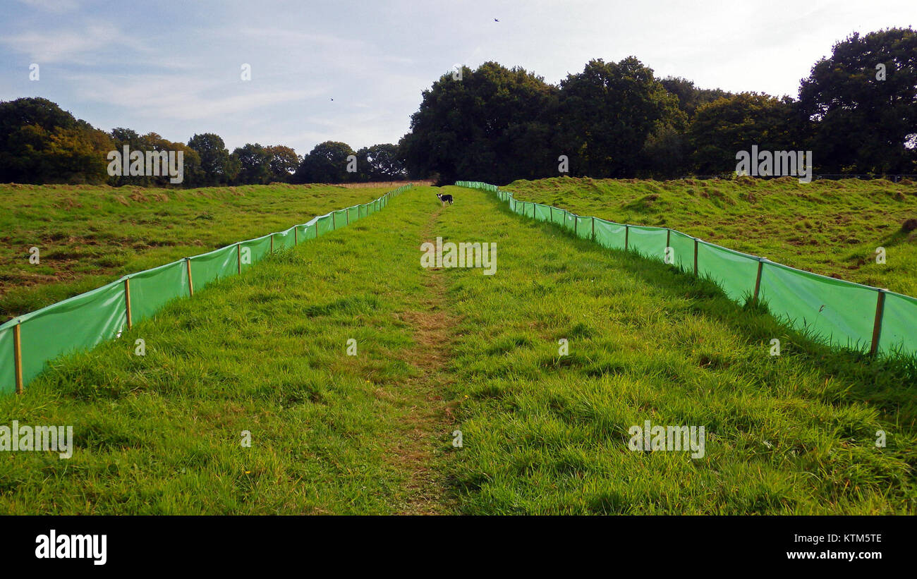 Il Barnhorn Green Development Site di Bexhill, Inghilterra, è un'area residenziale e commerciale pianificata. Il sito rappresenta l'espansione urbana in corso nella regione, concentrandosi sullo sviluppo sostenibile e sulle infrastrutture moderne per sostenere la comunità in crescita. Foto Stock