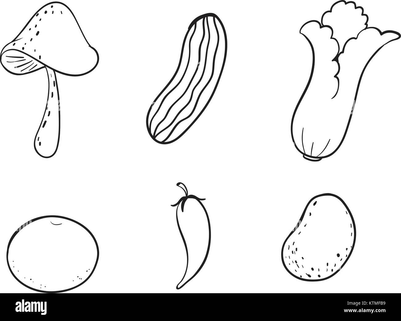 Illustrazione dettagliata delle varie verdure su sfondo bianco Illustrazione Vettoriale