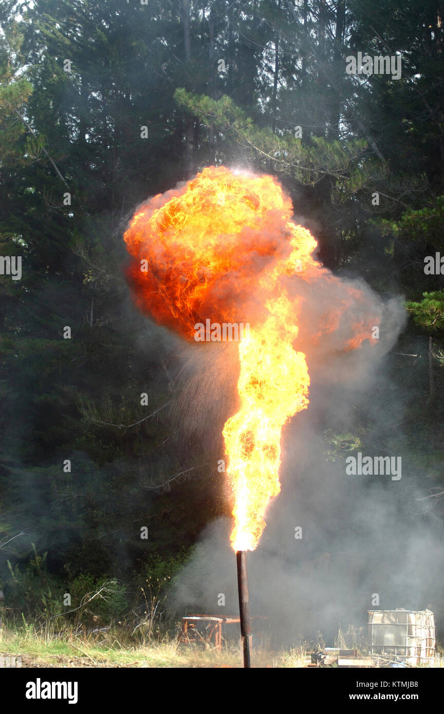 Flare bruciando il gas e il petrolio a Niagara 1 olio ben, nella costa occidentale dell'Isola del Sud, Nuova Zelanda Foto Stock