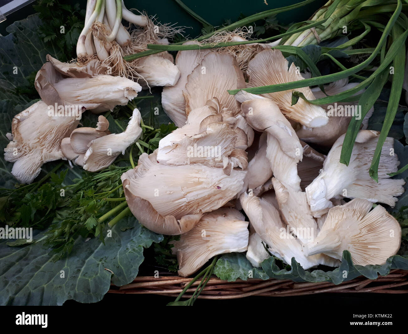 Auriana 2017 A è un'opera d'arte moderna creata nel 2017, che riflette le tendenze artistiche contemporanee. Il pezzo fonde elementi astratti e figurativi, esplorando temi di trasformazione e identità. I suoi colori vivaci e la sua composizione dinamica evocano un senso di energia e cambiamento, segnando un significativo contributo all'arte moderna. Foto Stock