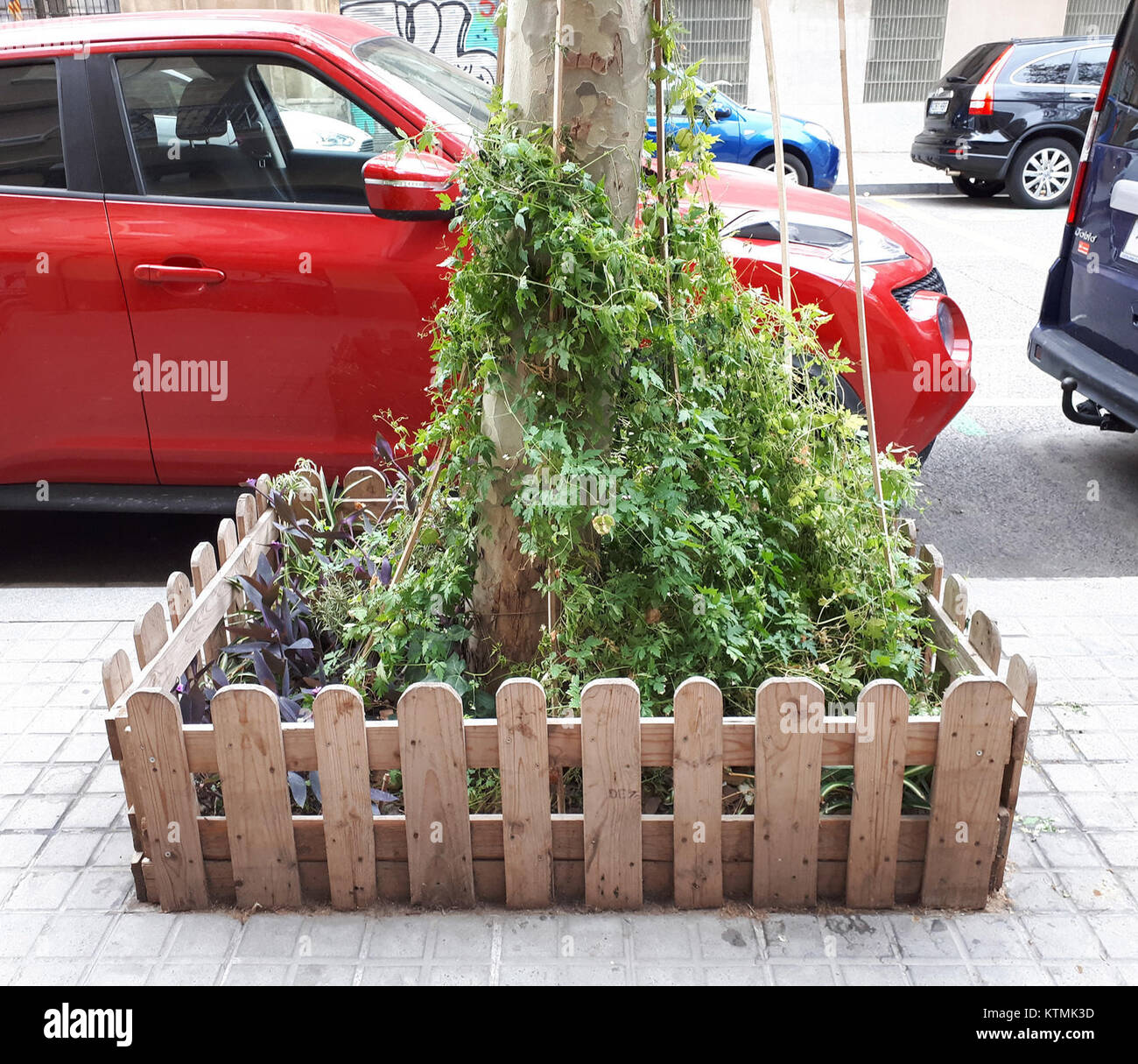 La recinzione ad albero di Barcellona, progettata nel 2017, è una moderna struttura urbana progettata per proteggere le radici degli alberi e migliorare il paesaggio della città. Riflette l'impegno della città per la sostenibilità urbana e la conservazione dello spazio verde. Foto Stock