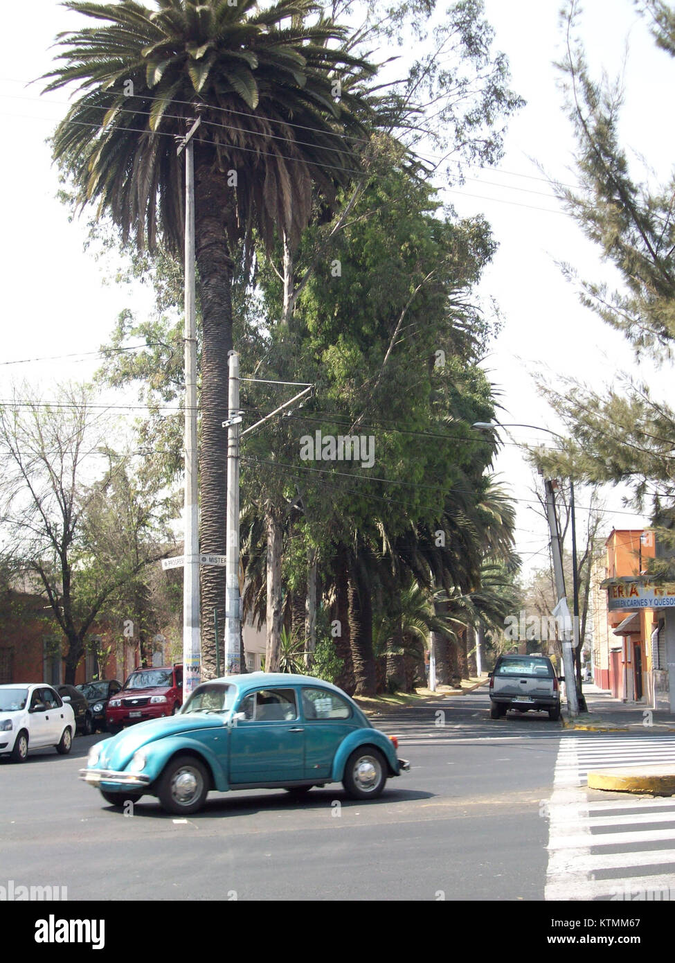 Avenida del Progreso è una strada importante conosciuta per il suo significato storico e lo sviluppo urbano. Situato in una città importante, funge da percorso vitale per i trasporti e il commercio locale, riflettendo la crescita e le infrastrutture della città. Foto Stock