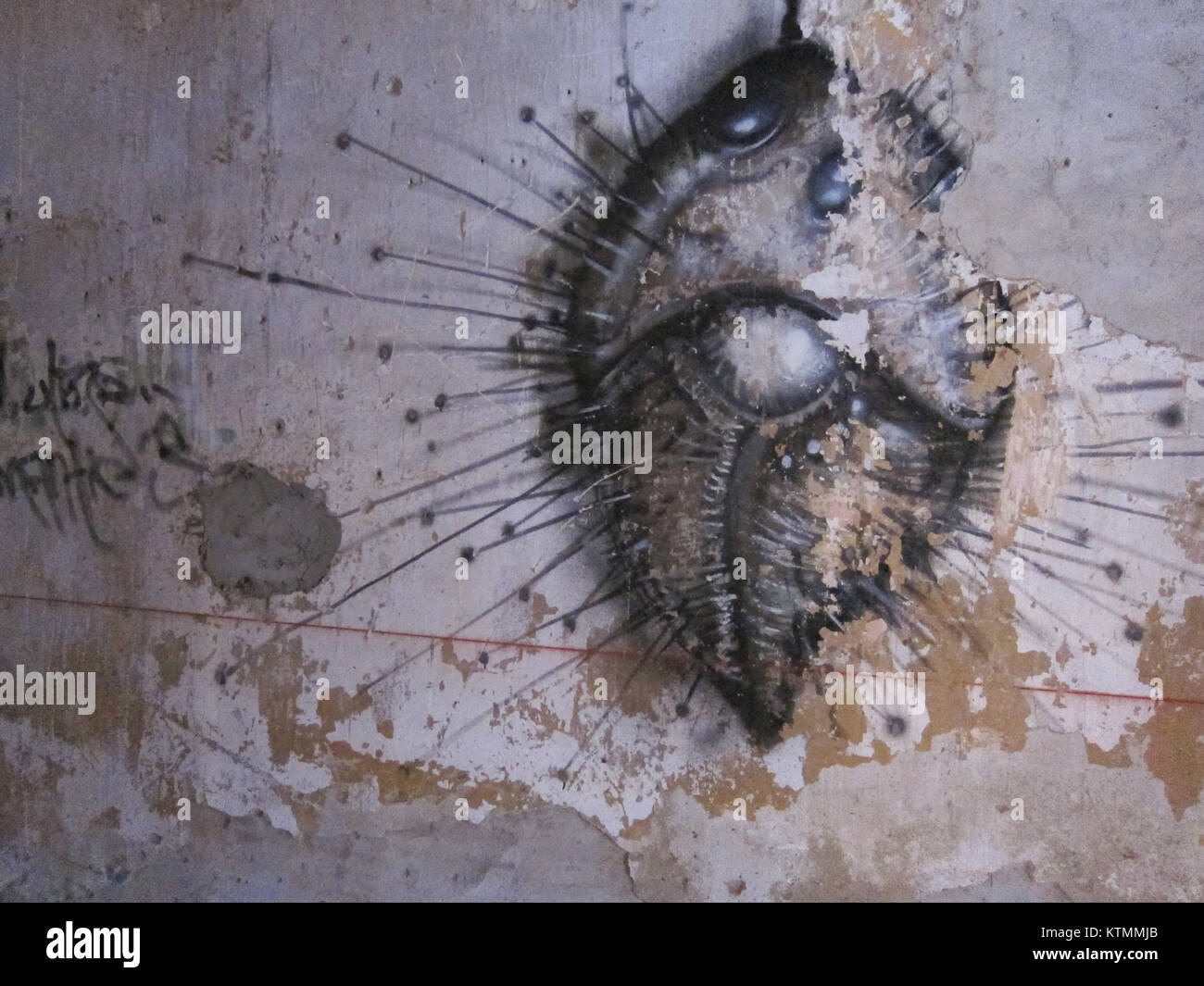 L'immagine cattura la Beauzelle Barricou, un festival o evento tradizionale a Beauzelle, in Francia, noto per il suo significato culturale. L'evento presenta costumi, riunioni e feste locali che riflettono il patrimonio e la storia della comunità. Foto Stock