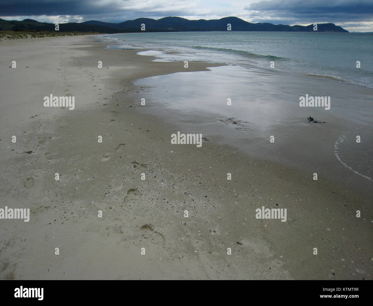 L'Aussie Tour 2007 si riferisce al tour di musica popolare in Australia nel 2007. Con la partecipazione di numerosi artisti internazionali e australiani, è stato un evento culturale chiave che ha mostrato diversi spettacoli musicali. Foto Stock