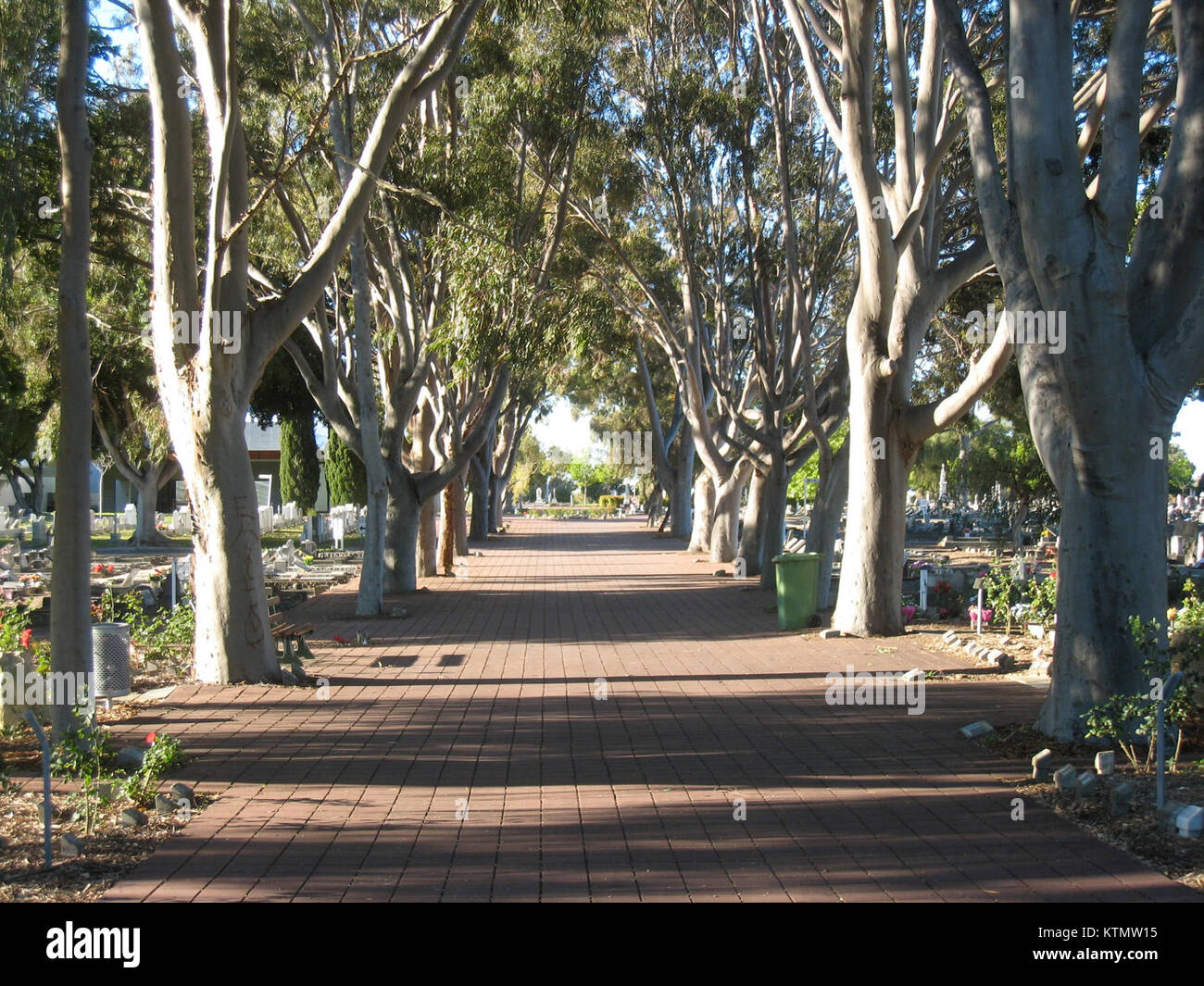 Un'immagine promozionale del Tour australiano del 2007, probabilmente di un artista musicale o di una band popolare. Questa foto rappresenta gli sforzi di marketing del tour durante le sue esibizioni internazionali in Australia. Foto Stock