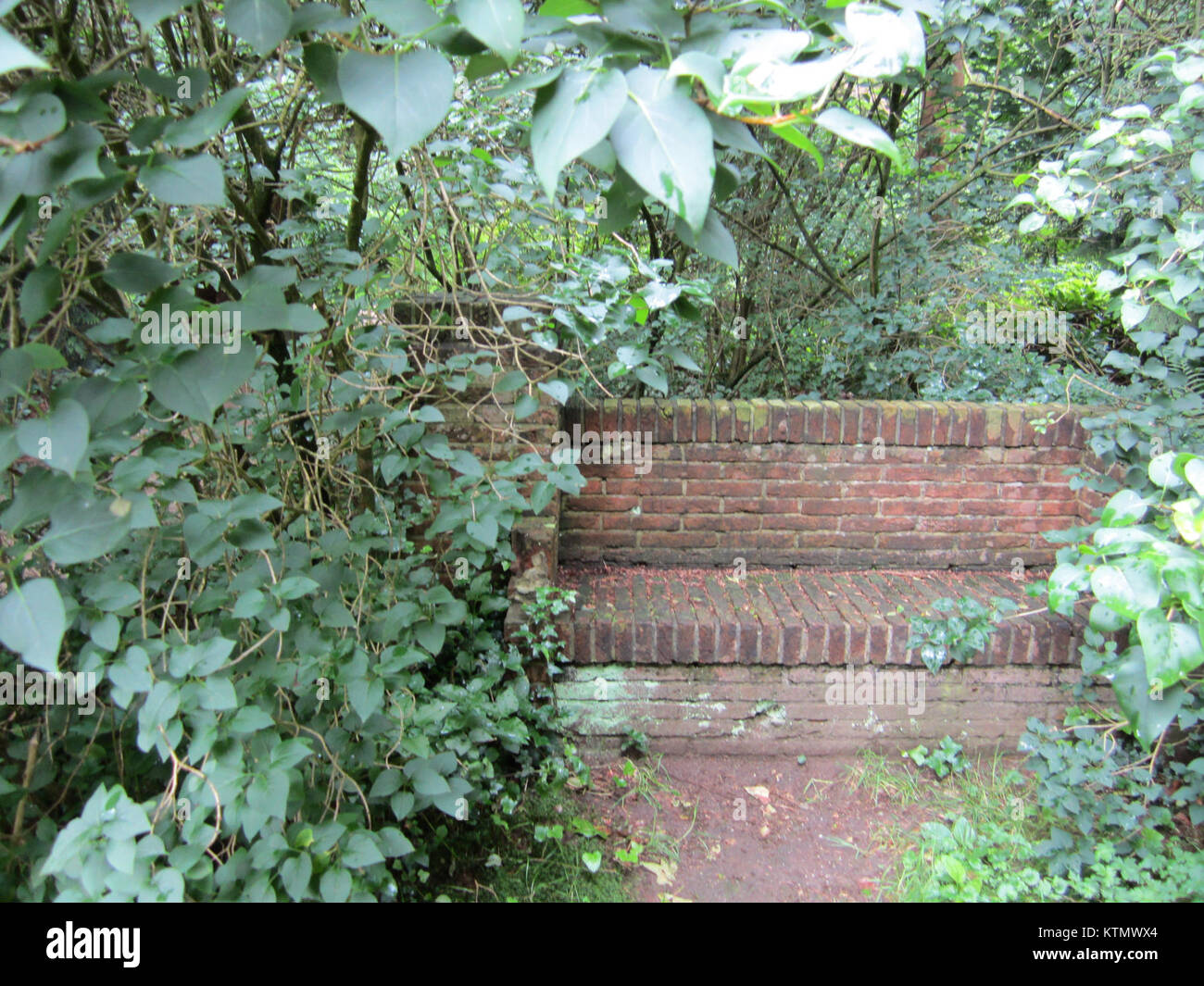 Questa voce si riferisce a un istituto bancario, probabilmente identificato con il numero 31111165865. Le informazioni specifiche possono riguardare registrazioni o attività associate a un istituto finanziario. Foto Stock