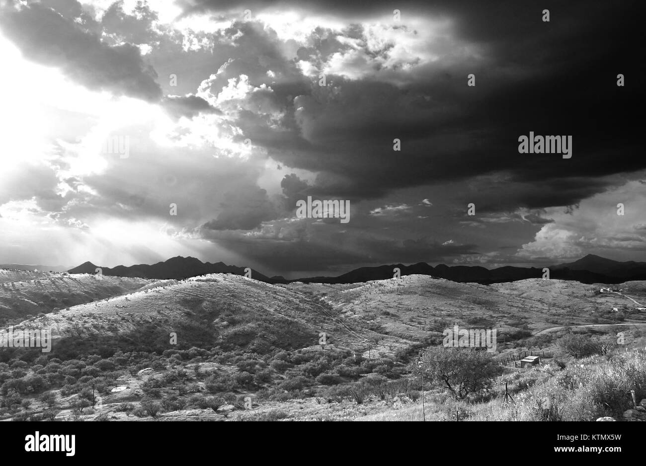 Questa fotografia cattura una vista dell'Arizona, mostrando la bellezza panoramica del paesaggio da un'area residenziale. L'immagine mette in risalto l'ambiente naturale del deserto e la topografia unica della regione. Foto Stock