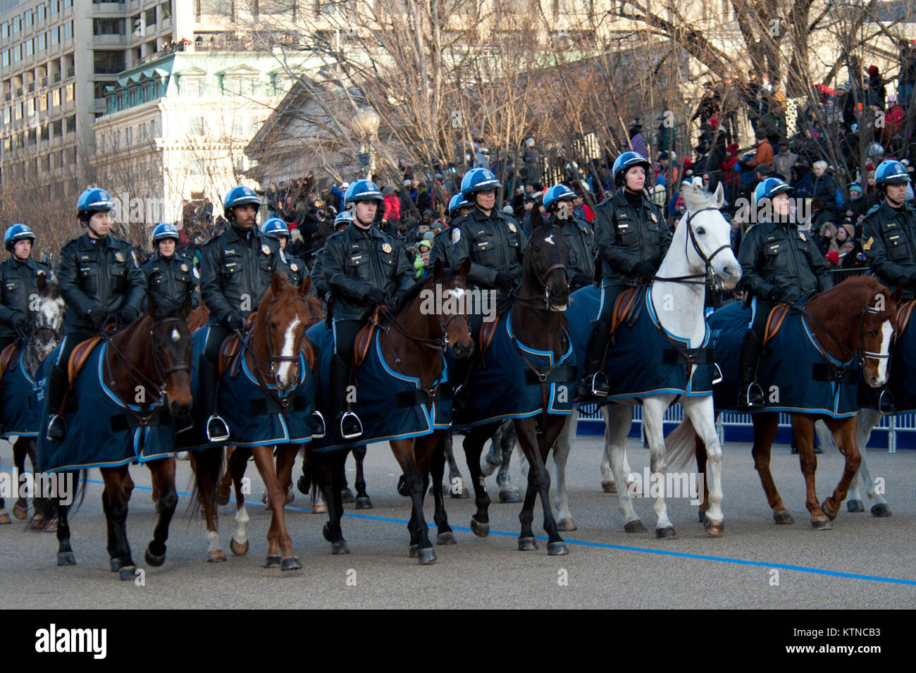 WASHINGTON, D.C. - - - - - - - Squadra di cavallo Distretto di Columbia funzionari di polizia segue le elezioni presidenziali per il giro della Papamobile a capo di un corteo di più di 8 mila le persone che hanno iniziato a Constitution Avenue e continuato giù Pennsylvania Avenue alla Casa Bianca. La parata incluse cerimoniale reggimenti militari, gruppi di cittadini, Marching Band e galleggianti. La 57th inaugurazione presidenziale si è tenuta a Washington D.C. il lunedì, 21 gennaio, 2013. L'Inaugurazione incluso il giuramento presidenziale in occasione della cerimonia inaugurale, indirizzo, Parata inaugurale e numerosi balli inaugurali e cene di gala in onore del electe Foto Stock