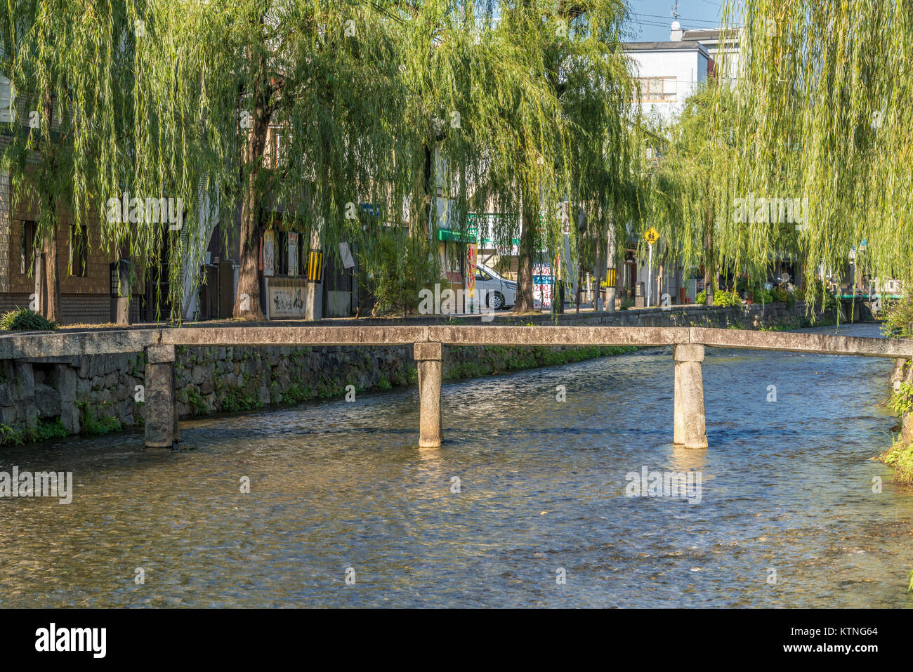 Kyoto, Giappone - 10 Novembre 2017 : gli alberi di salice(Salix) lungo il Fiume Shirakawa e Ippon ponte (ipponbashi). Uno stretto ponte di pietra vicino a Chion-in tempio Foto Stock