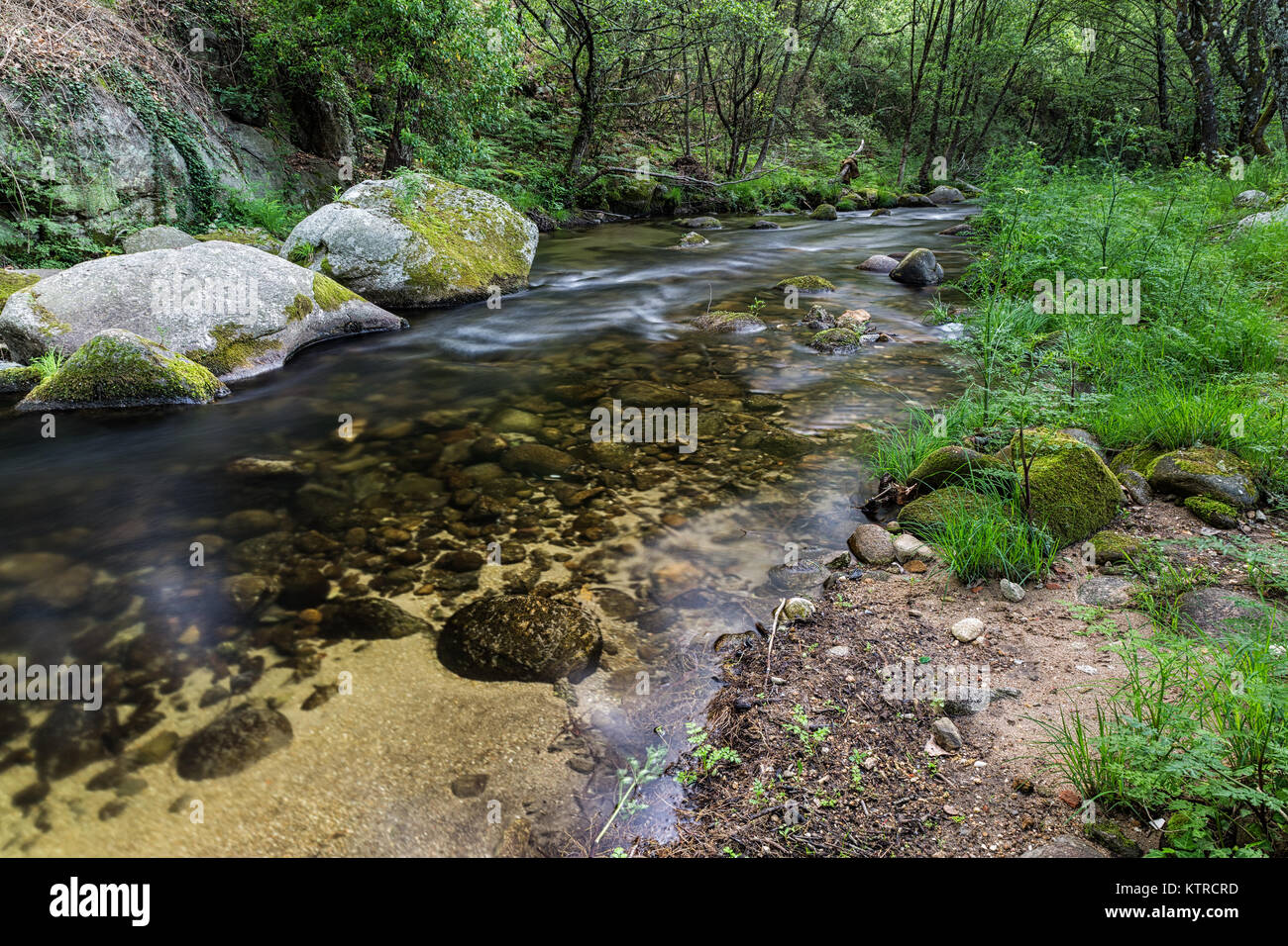 Paesaggio vicino jaraiz de la Vera, Cáceres. Extremadura. Spagna. Foto Stock