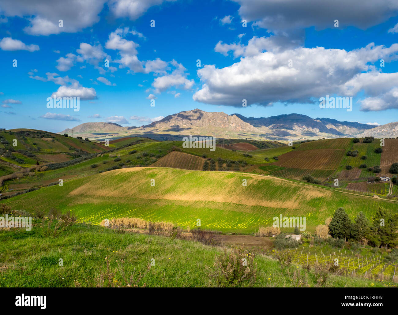 Panorama siciliano, Camporeale, Sicilia,l'Italia,12.26.2017 Foto Stock
