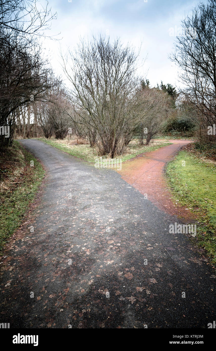 Una strada asfaltata si divide in due percorsi Foto Stock