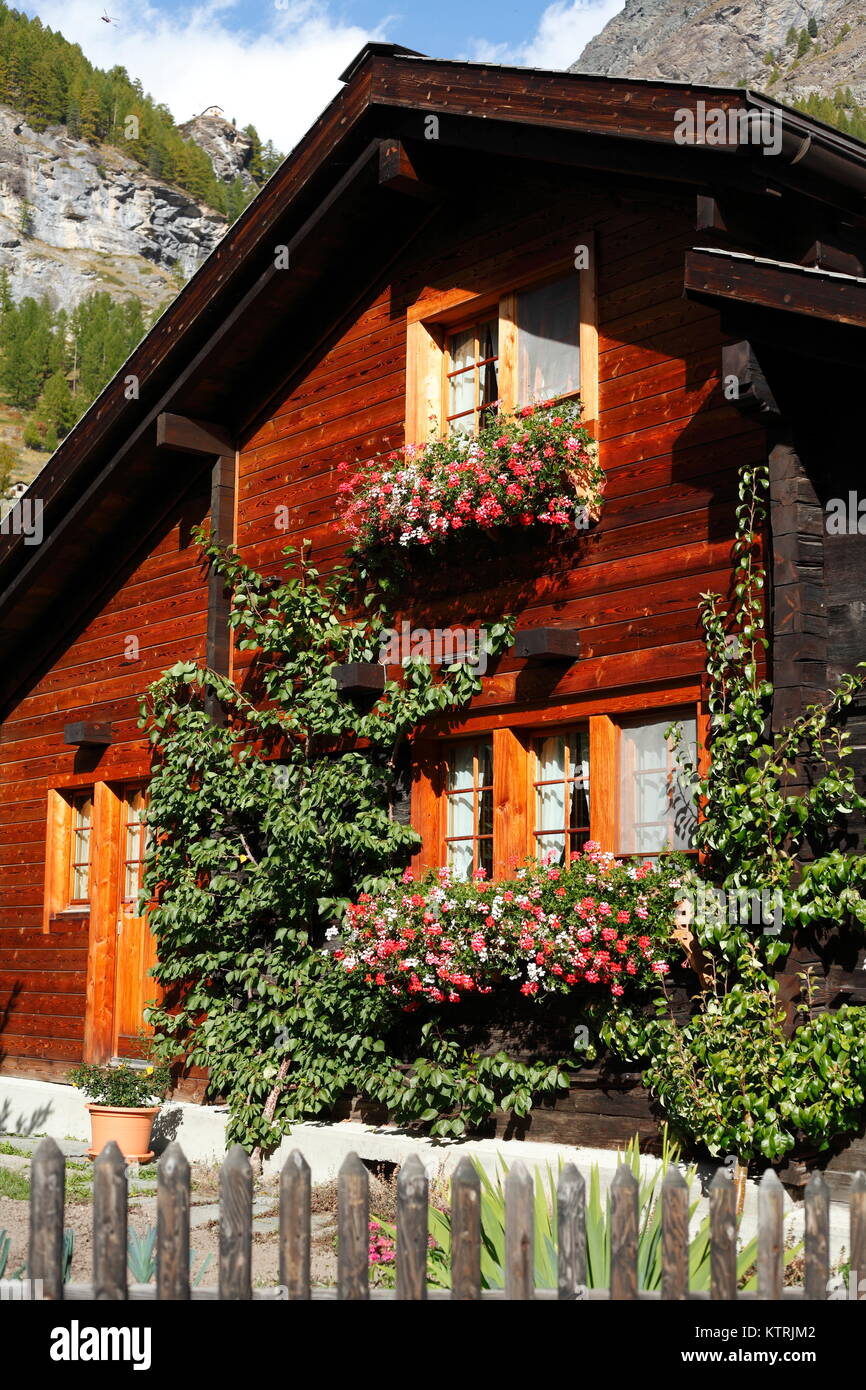 Holzhaus, Blumenkästen, Zermatt, Schweiz mi casa in legno, fiori,Zermatt, Svizzera Foto Stock
