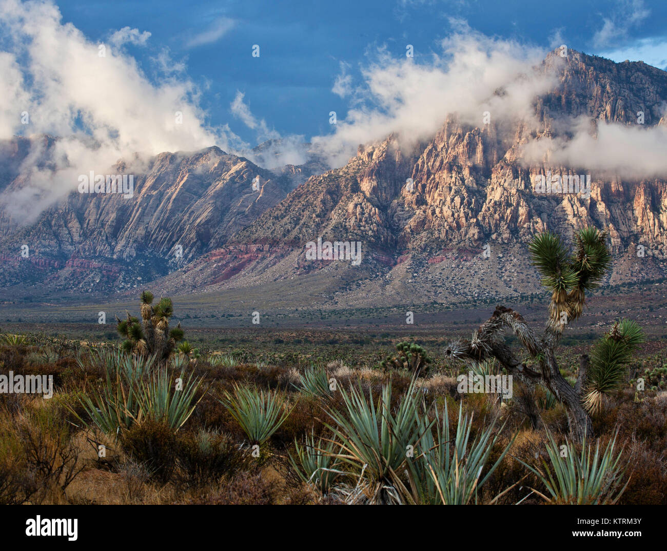 Pietra arenaria rossa formazioni rocciose presso il Red Rock Canyon National Conservation Area Ottobre 4, 2011 vicino a Las Vegas, Nevada. Foto Stock