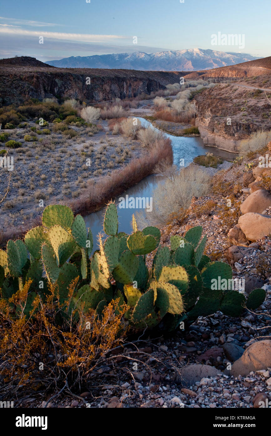 Il Gila ricreativo fiume scorre attraverso il Fiume Gila rivierasche National Conservation Area 14 gennaio 2010 vicino a Safford, Arizona. Foto Stock