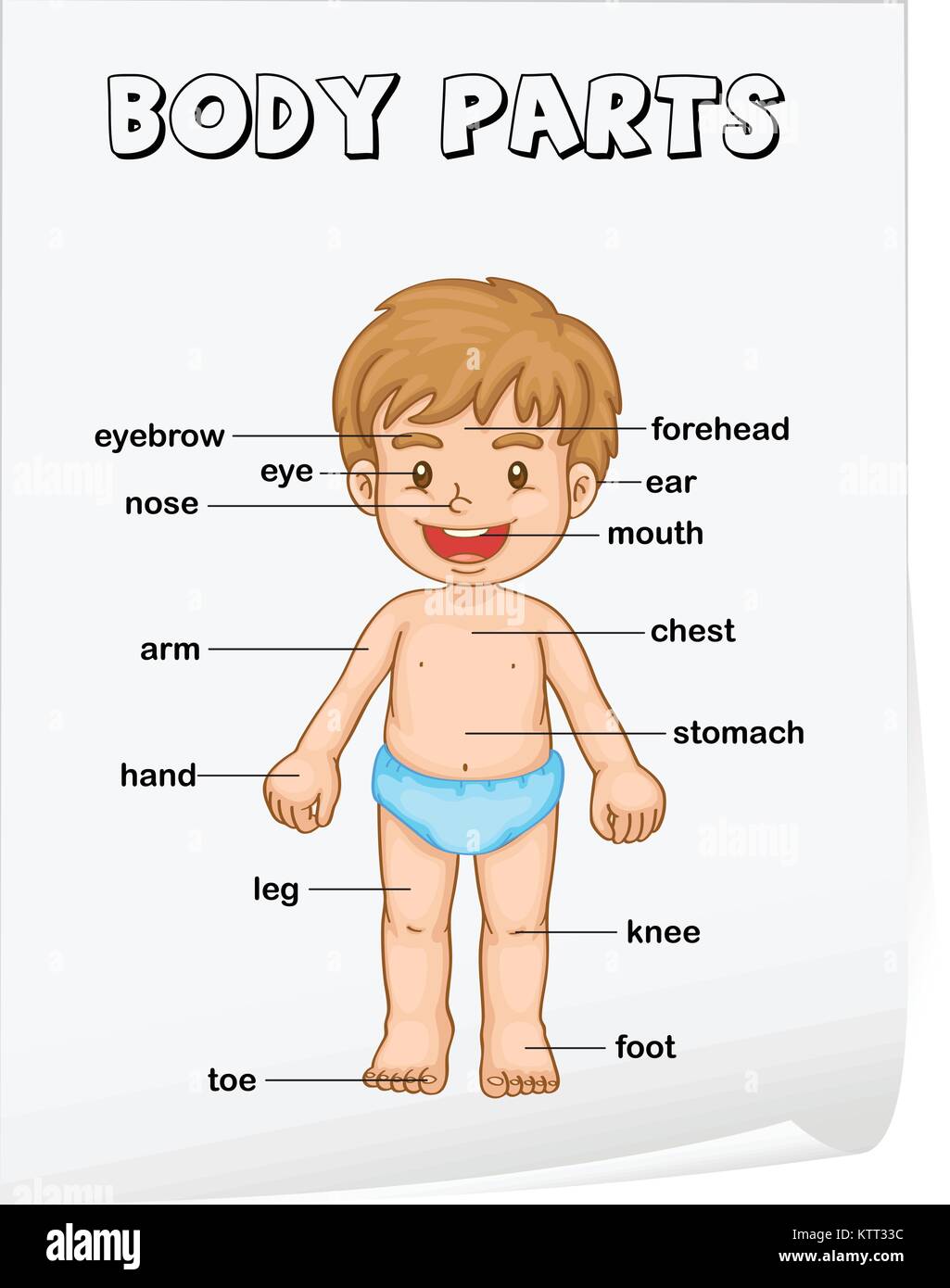 Foglio di lavoro di vocabolario - le parti del corpo Illustrazione Vettoriale