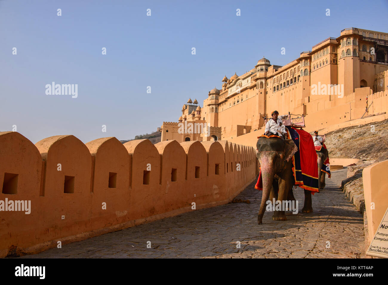 Equitazione elefante al Forte Amer, Jaipur, India Foto Stock