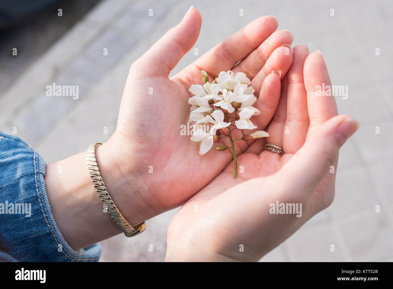 Donna di mani tenendo i fiori Foto stock - Alamy