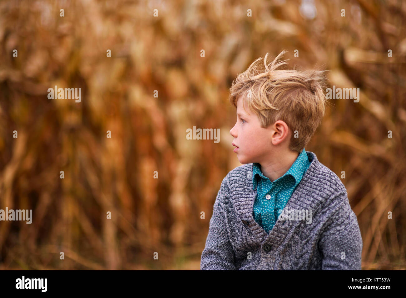 Ritratto di un ragazzo che sta in un cornfield Foto Stock