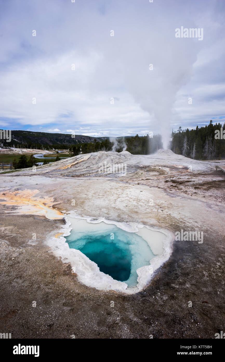 Spring and Yellowstone Geyser, Yellowstone National Park, Wyoming, Stati Uniti Foto Stock