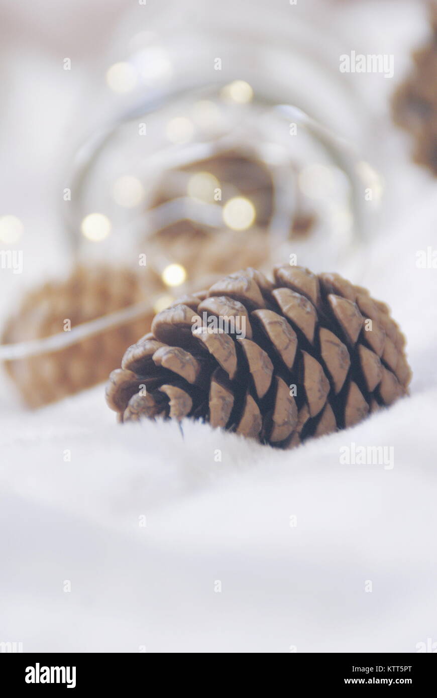 Close-up di Natale pigne e luci fairy in un vasetto di vetro Foto Stock