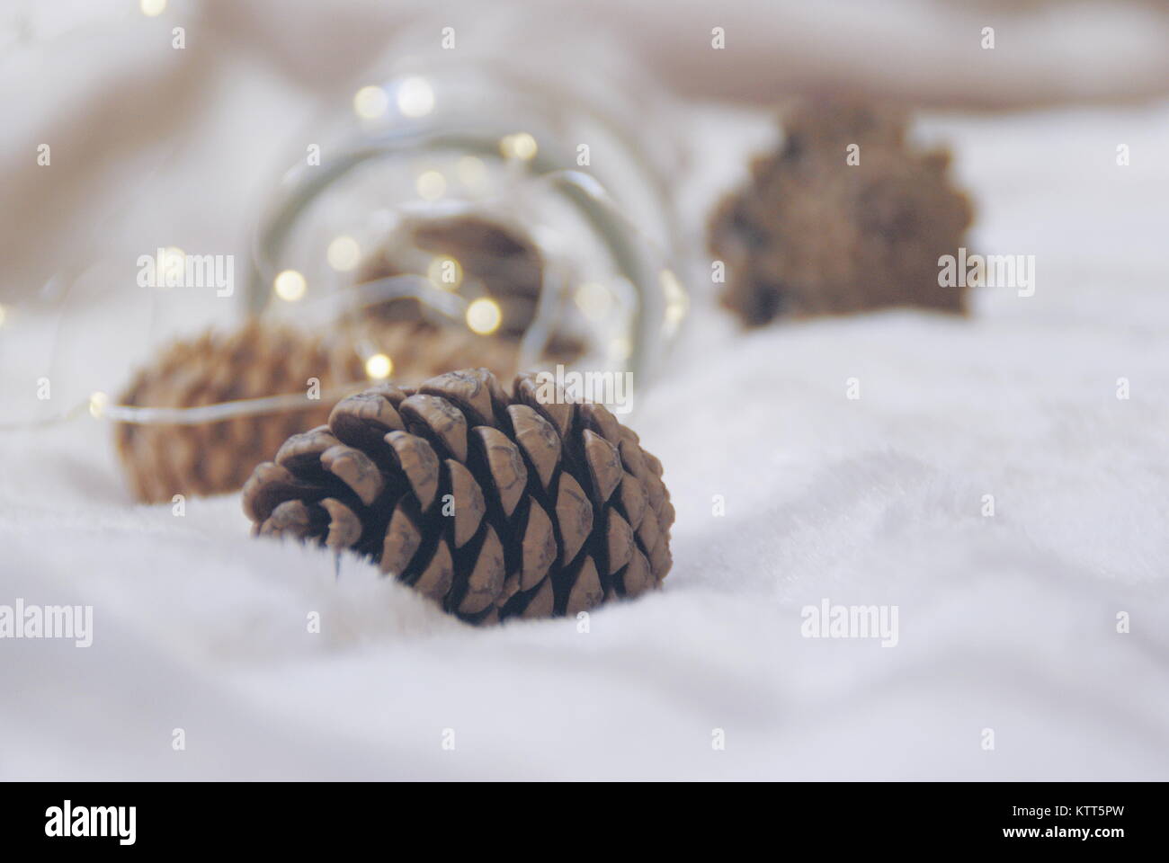 Close-up di Natale pigne e luci fairy in un vasetto di vetro Foto Stock