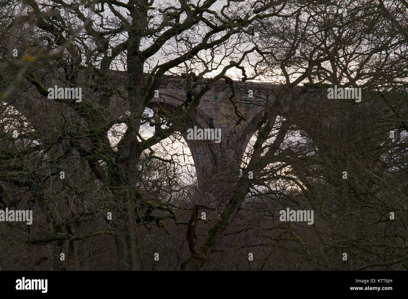 Lambley viadotto sulla South Tyne Trail, Northumberland Foto Stock