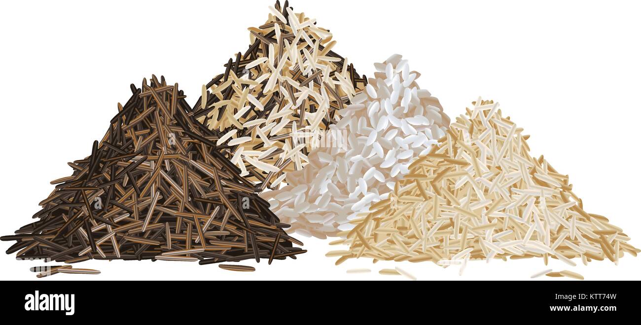 Riso pila imposta illustrazione vettoriale Illustrazione Vettoriale