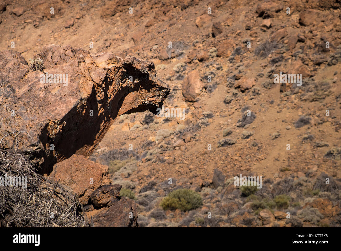 La roccia vulcanica appare come una forma animale, Las Canadas del Teide, Parco Nazionale, Tenerife, Isole Canarie, Spagna Foto Stock