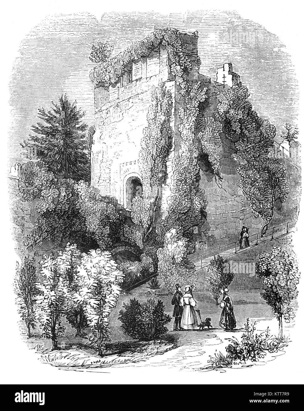 Farnham Castle è un castello a Farnham, Surrey, Inghilterra. Costruito nel 1138 da Henri de Blois, Vescovo di Winchester, nipote di Guglielmo il Conquistatore, il castello era di diventare la casa dei vescovi di Winchester per oltre 800 anni. L'edificio originale fu demolito da Enrico II nel 1155 dopo l'anarchia e poi ricostruita nel XII e inizio del XIII secolo. Foto Stock