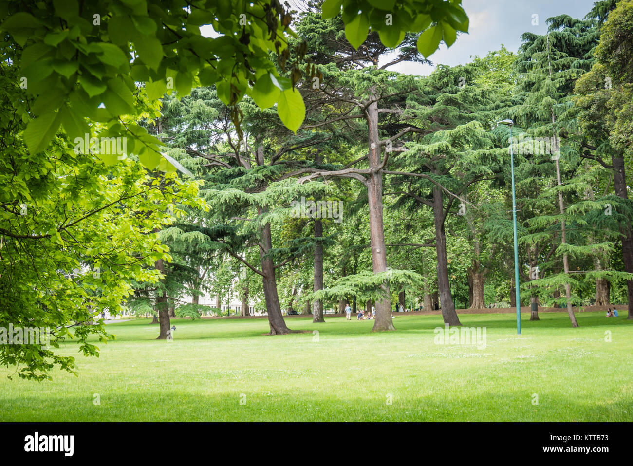 Melbourne giardini Carlton Foto Stock