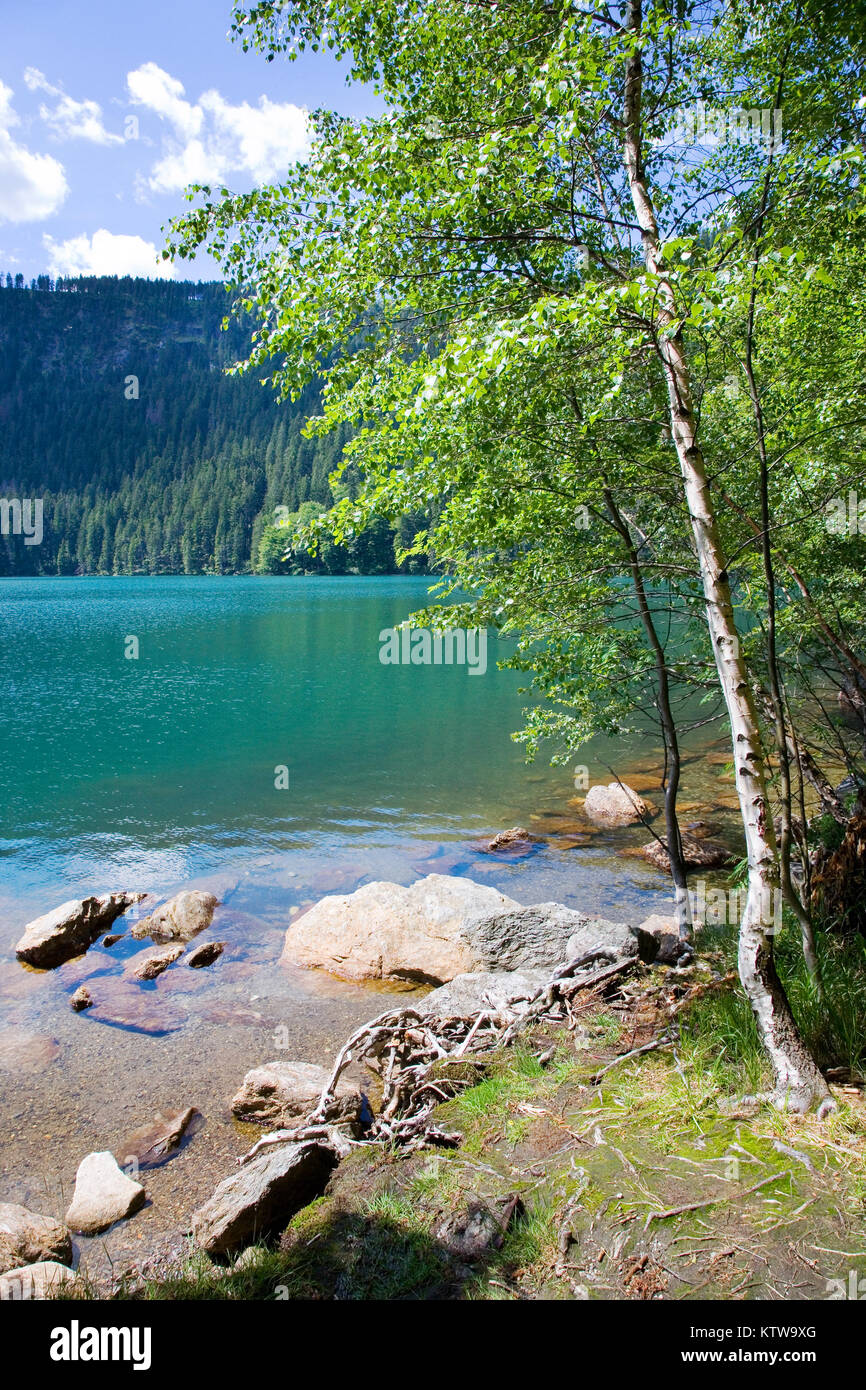 Diavolo glaciale Lago (Certovo jezero), Montagne Sumava, Regione della Boemia del Sud, Repubblica Ceca Foto Stock