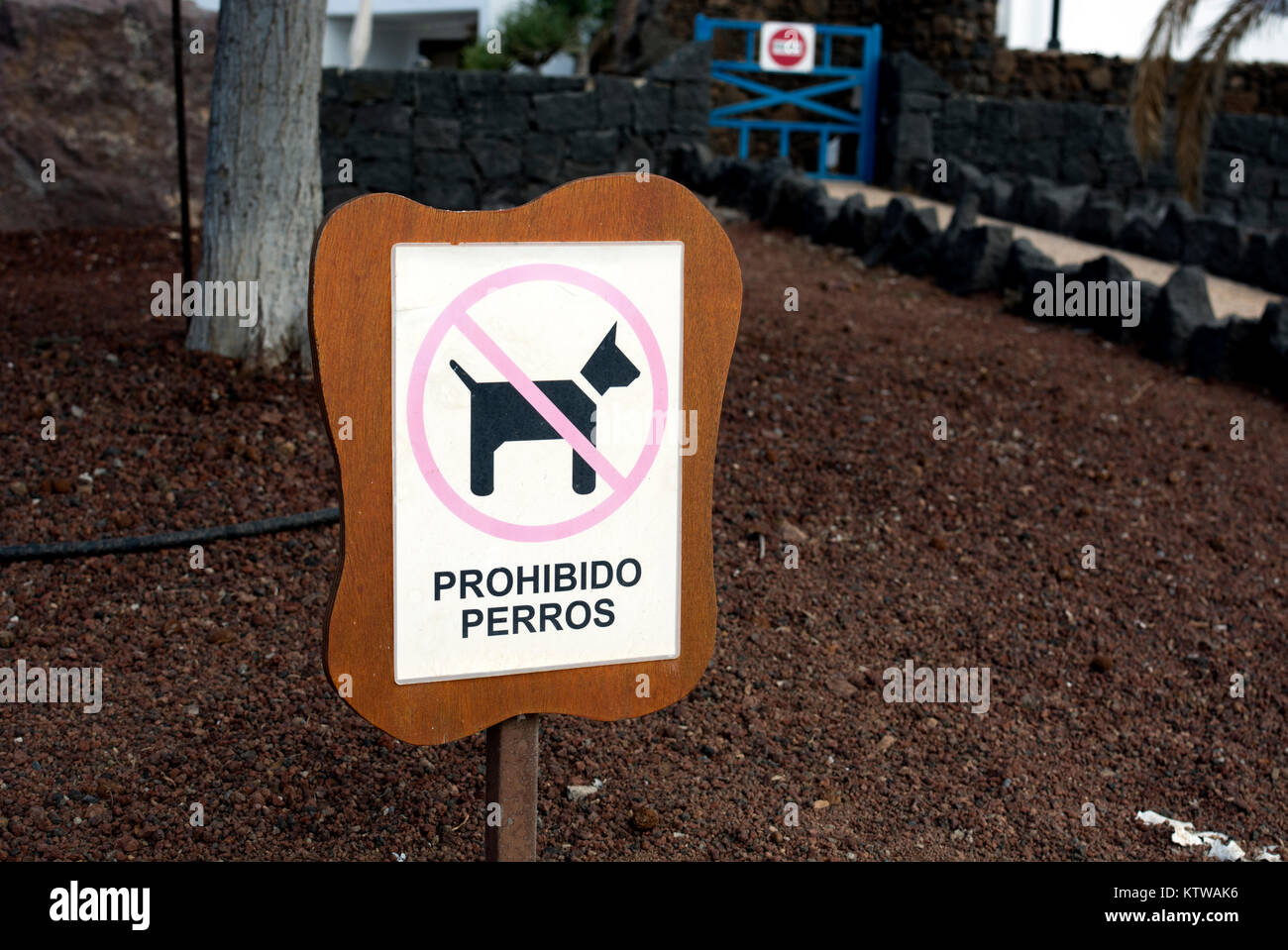 Prohibido Perros segno, Lanzarote, Isole Canarie, Spagna. Foto Stock